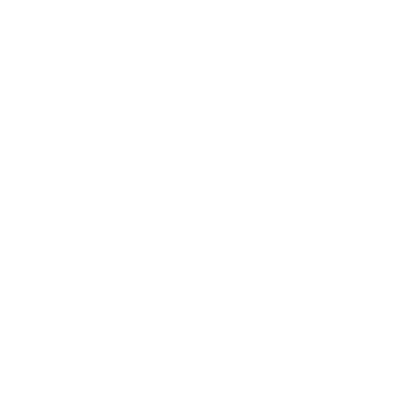 echo300 logo